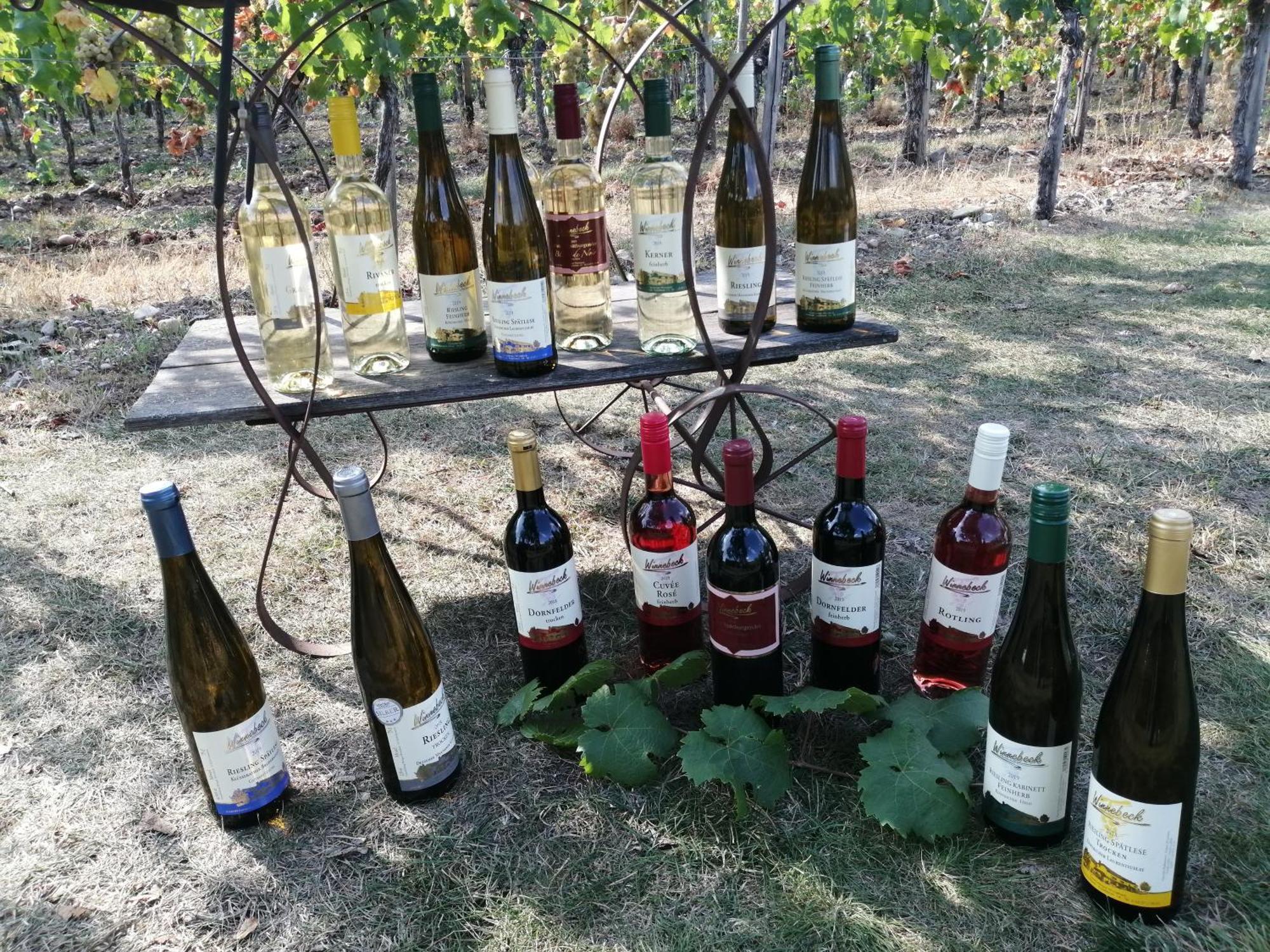 Ferienweingut Winnebeck Köwerich Exterior foto